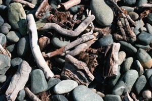 636123286259628658-134759453_sticks-and-stones